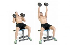 Incline Bench Dumbbell Press