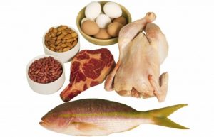 Protein rich foods